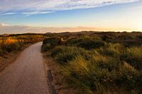 The path through colors