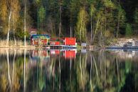 Litlle red house by the lake by Marc Hollenberg thumbnail