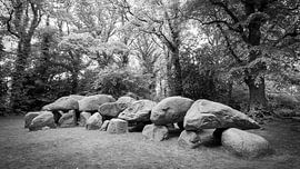 Hunebed D27 : Das größte Hunebed der Niederlande in Borger von R Smallenbroek