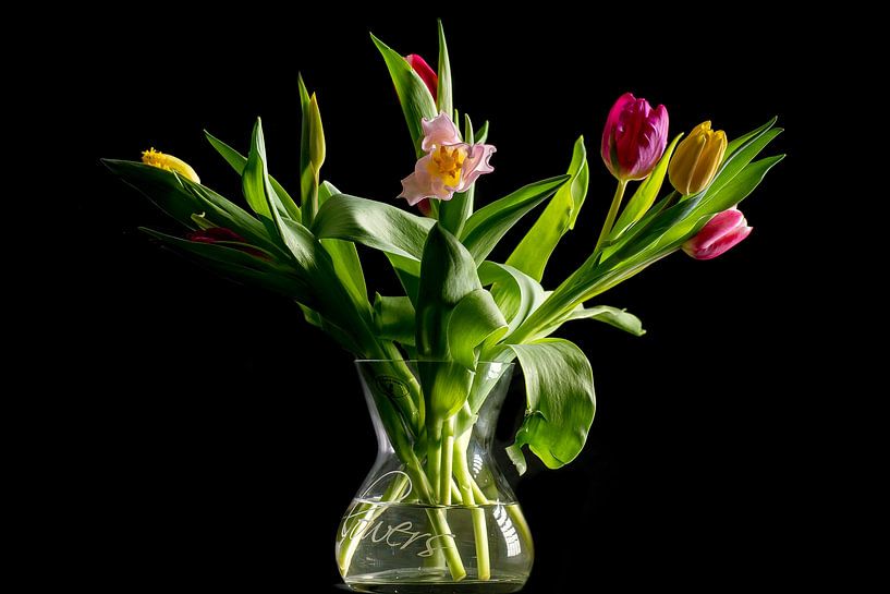 Tulpenstrauß in einer Vase von Humphry Jacobs