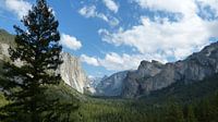 Yosemite tunnelview van Josina Leenaerts thumbnail