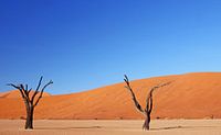Dode Vlei Namibië van W. Woyke thumbnail
