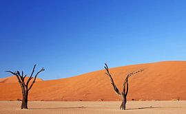 Dead Vlei Namibia by WiWo