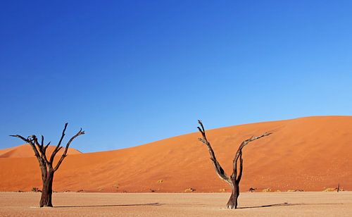 Dead Vlei Namibia