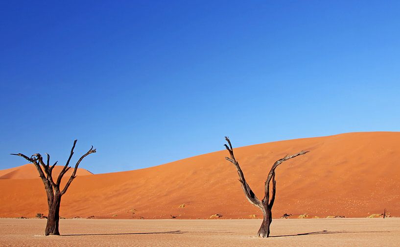 Dead Vlei Namibia by W. Woyke