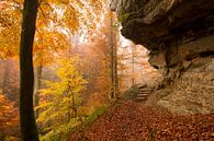 Prachtige herfstkleuren in het bos par Paul Wendels Aperçu