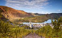 Bremm, Rheinland-Pfalz, Deutschland von Alexander Ludwig Miniaturansicht