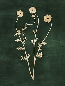 Abstract Botanical no. 10