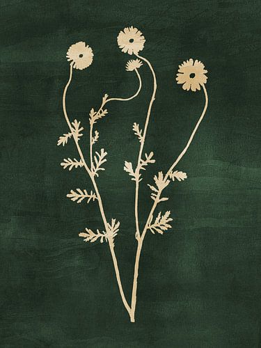 Abstract Botanical no. 10