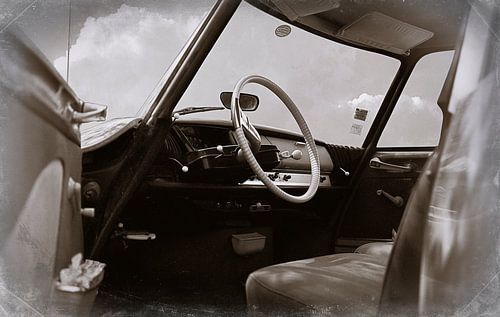 Lemons ID 19 Retro brown by Wim Schuurmans