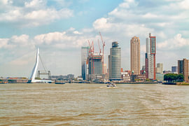 Blick auf die Skyline des Stadtteils „Kop van Zuid“ in Rotterdam