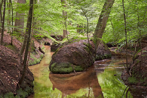 Petit ruisseau serein traversant la forêt verdoyante sur Cor de Hamer