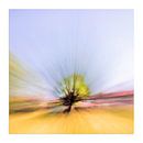 Flight over the abstract tree 14 by Philippe verspeek thumbnail