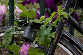 Fiets by Ronald Wilfred Jansen