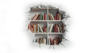 Wall bookcase panorama
