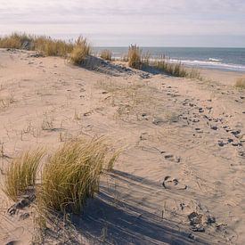 Sable & Vent : la texture des dunes sur Sebastian Stef