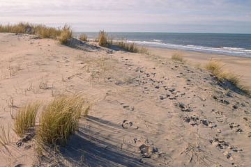 Sand & Wind: The Texture of the Dunes by Sebastian Stef