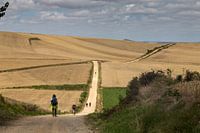 Camino de Santiago, Way of Saint James