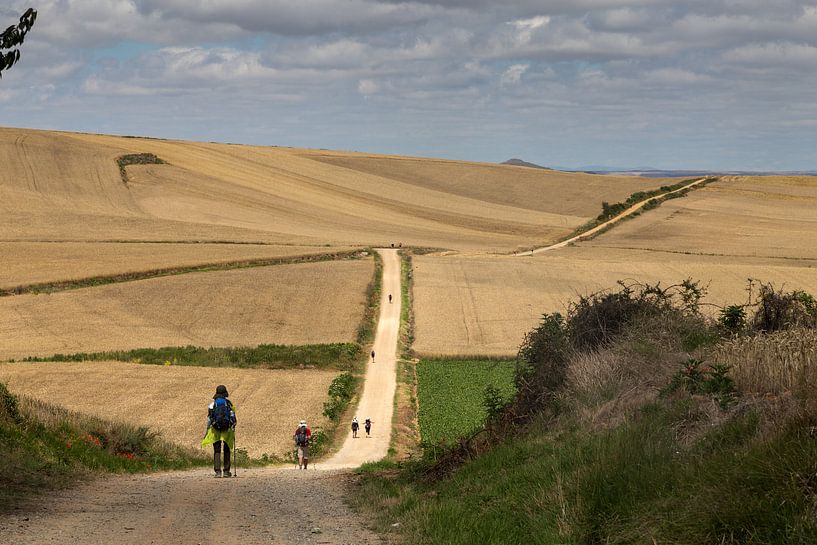 Camino de Santiago, Way of Saint James by Maarten Hoek
