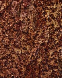 altes, verwittertes Holz von Miny'S