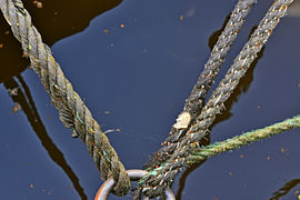 Rope from a ship 4 by Erik Buitenhuis