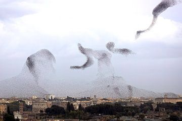 Spreeuwen zwerrm boven Rome