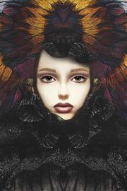 Embedding by Corry van der Pluijm