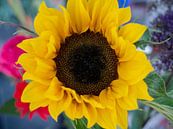Sonnenblume aus Blumenstrauß von Matthijs Noordeloos Miniaturansicht