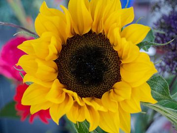 sunflower from bouquet by Matthijs Noordeloos