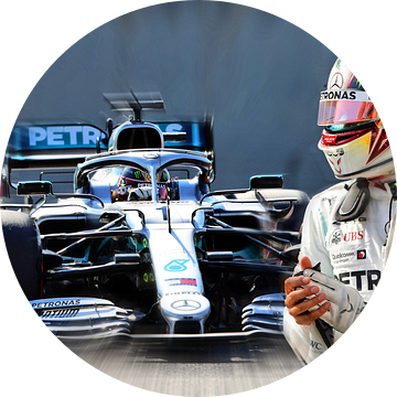 Wereldkampioen LH44 anno 2019 - Lewis Hamilton van DeVerviers