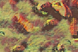 Jeu de couleurs automnales dans la texture sur Albert Zeeb