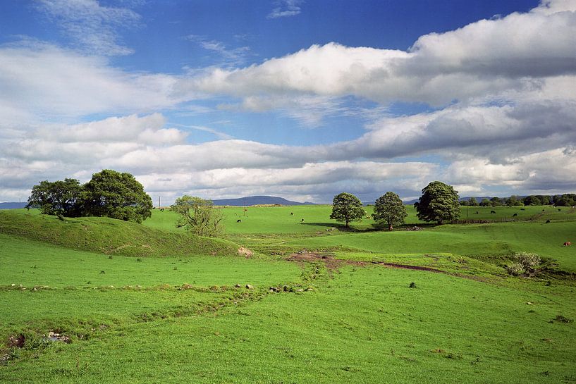 Scotland #01 by Sven Boelen