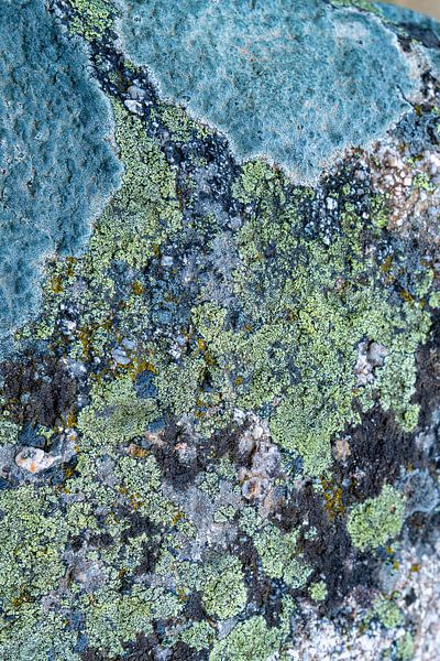 Flechten in Blau von Mel van Schayk