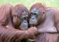 Hugging.
