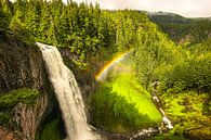 Waterval met regenboog in Oregon van Leo Schindzielorz thumbnail