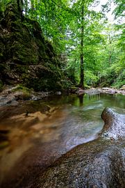 Mitten im Schwarzwald von Hannes Cmarits