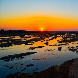 Zonsopkomst over de Olifants rivier in het Kruger park van Tim Sawyer