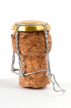Just Released The Cork | image of a cork on white by Marcel Mooij