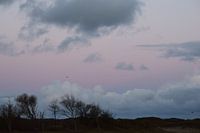 Roze