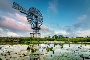 Moteur éolien américain sur Jaap Terpstra