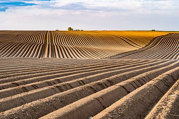 France rolling country