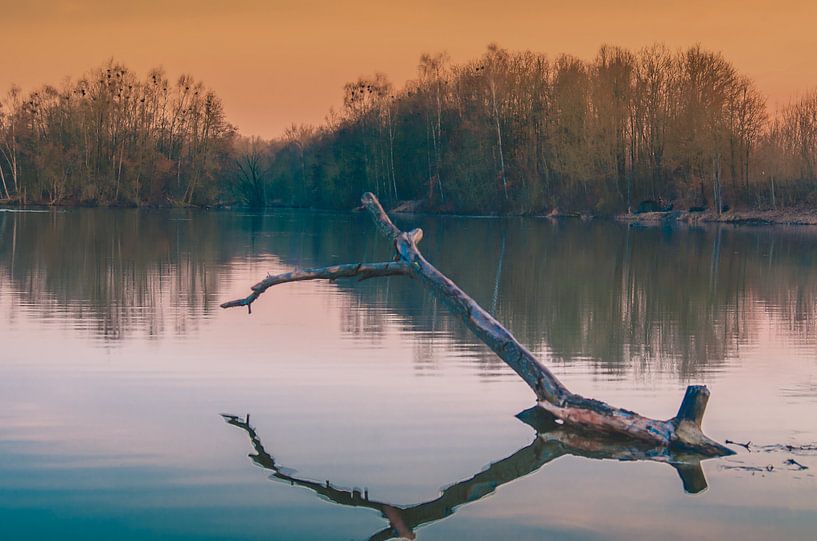 Pure nature von Photoart-Naegele