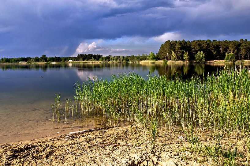 Zauberhafte Idylle am Bernsteinsee von Silva Wischeropp
