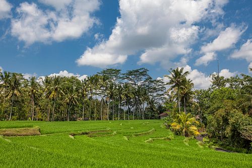 Beste schilderachtige Aziatische achtergronden en landschappen, volkscultuur en natuur van Bali en J