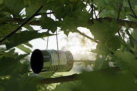 Canned telephone between maple foliage by Besa Art