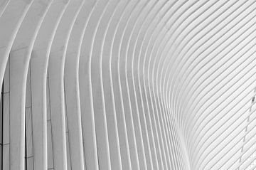 L'Oculus en gros plan - New York