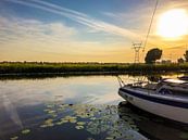 Schipper mag ik overvaren? by Kevin Kanbier thumbnail