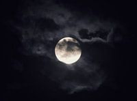 Volle maan