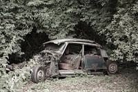 Citroën DS into the woods