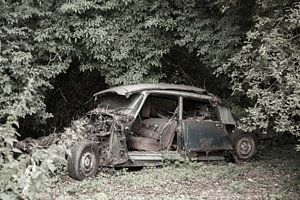 La Citroën DS dans les bois sur anne droogsma